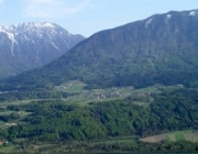 schwarzgupf